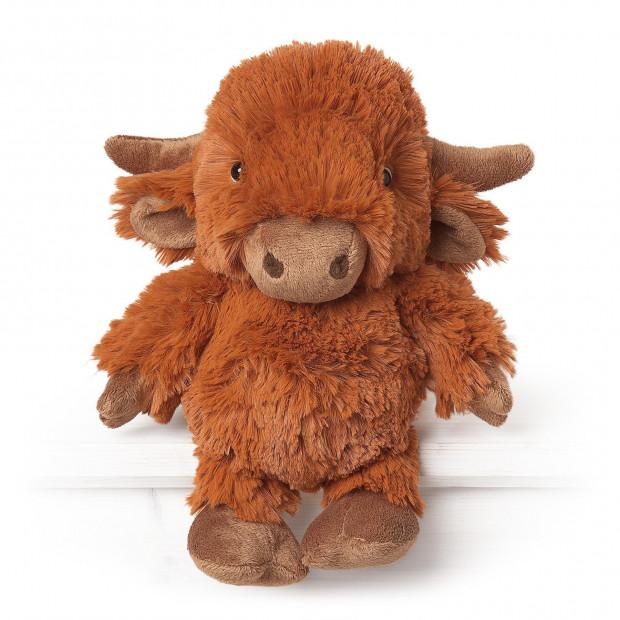 cuddly highland cow